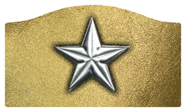 DASHELL-430-SL-GD Star Silver-Gold